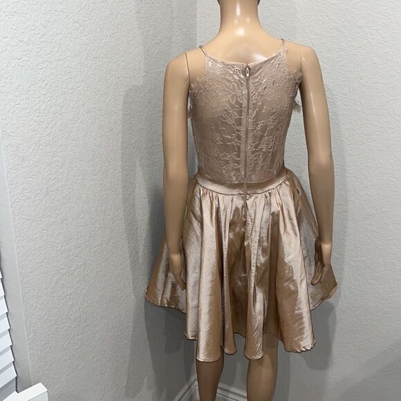 NWT- Beautiful Windsor nude colored designer cocktail dress - Picture 3 of 6